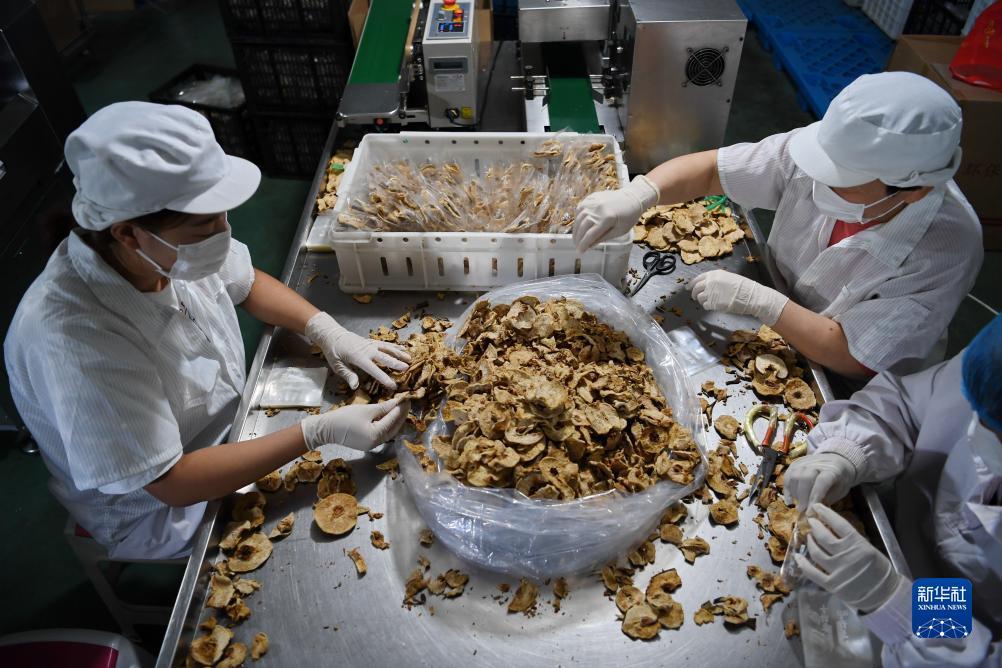 恒锋娱乐g22官方网
